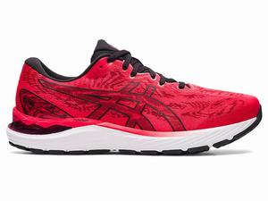 Asics GEL-CUMULUS 23 Futócipő Férfi Fekete Piros | 576130-QUZ