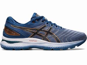 Asics GEL-NIMBUS 22 Futócipő Férfi Szürke | 198306-VHG