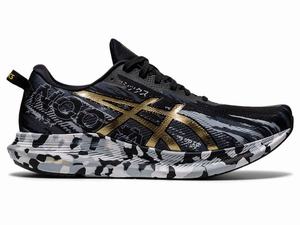 Asics NOOSA TRI 13 Futócipő Férfi Fekete Arany | 253807-TFN