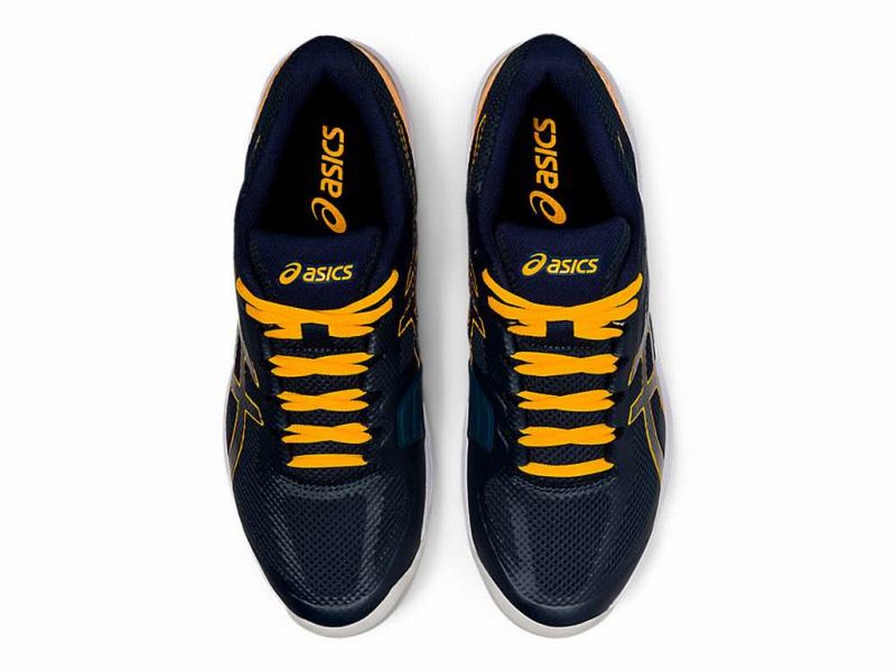 Asics Court Speed FF Teniszcipő Férfi Kék | 968075-IDT