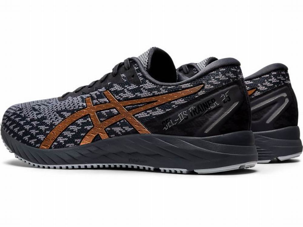 Asics GEL-DS TRAINER 25 Futócipő Férfi Szürke | 031867-ISJ