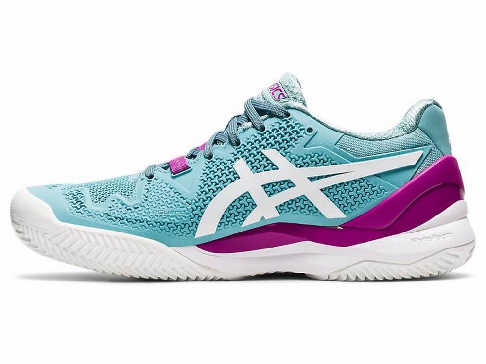 Asics GEL-RESOLUTION 8 CLAY Teniszcipő Női Fehér Kék | 289307-AJV