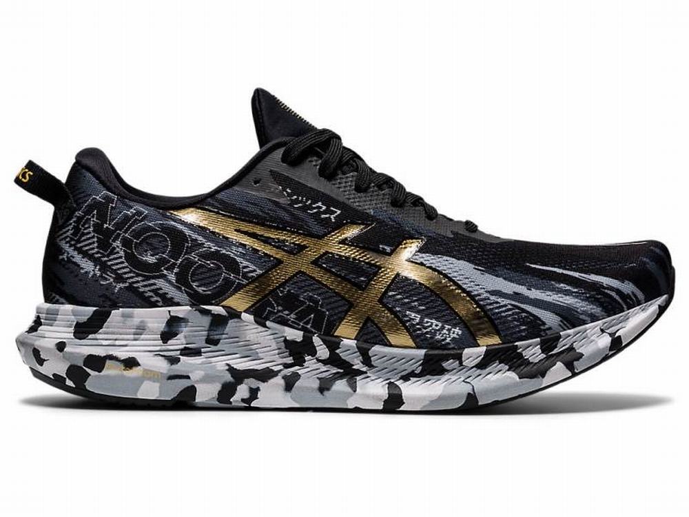 Asics NOOSA TRI 13 Futócipő Férfi Fekete Arany | 253807-TFN