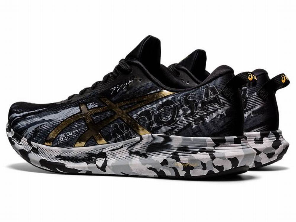 Asics NOOSA TRI 13 Futócipő Férfi Fekete Arany | 253807-TFN