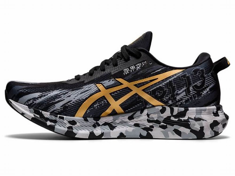 Asics NOOSA TRI 13 Futócipő Férfi Fekete Arany | 253807-TFN