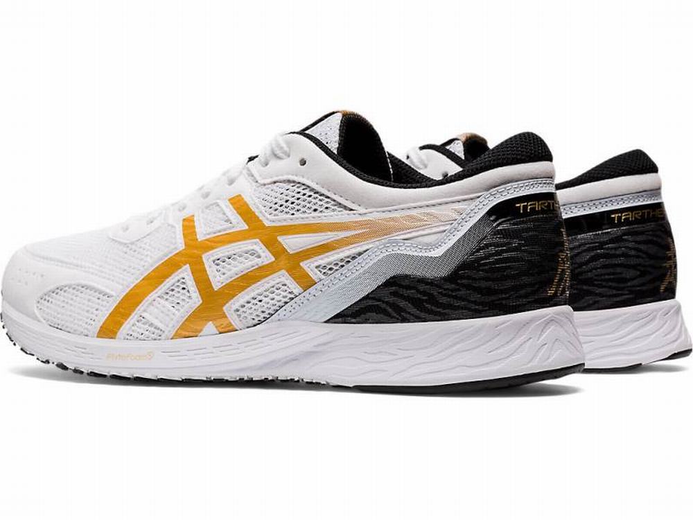 Asics TARTHEREDGE Futócipő Férfi Fehér Arany | 426937-QIX