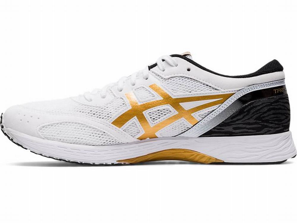 Asics TARTHEREDGE Futócipő Férfi Fehér Arany | 426937-QIX